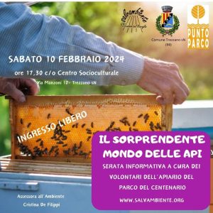 Il sorprendente mondo delle api