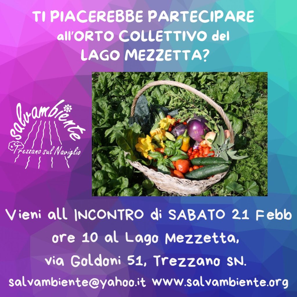 Incontro per orto collettivo